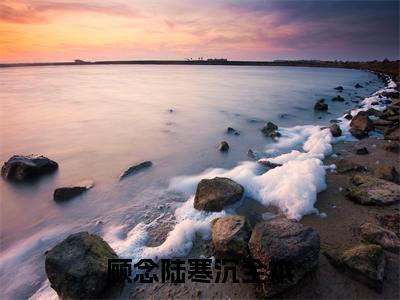 顾念陆寒沉的书名 顾念陆寒沉免费章节阅读