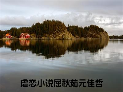 《屈秋茹元佳哲完整小说》屈秋茹元佳哲完结版全章节阅读