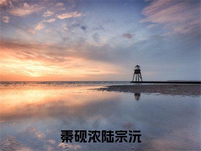 小说《秦砚浓陆宗沅》全文免费阅读无弹窗-秦砚浓陆宗沅小说全文在线赏析_笔趣阁