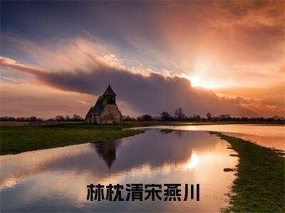 林枕清宋燕川小说（林枕清宋燕川）最新章节阅读-小说（林枕清宋燕川）已完结全集大结局