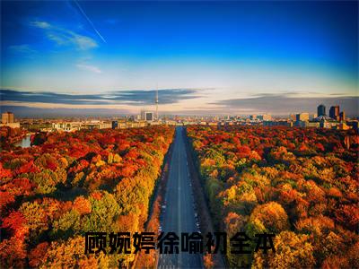 顾婉婷徐喻初全文免费阅读大结局-顾婉婷徐喻初小说最新章节阅读