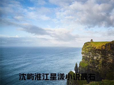 沈屿淮江星漾免费小说 沈屿淮江星漾在线小说免费阅读目录