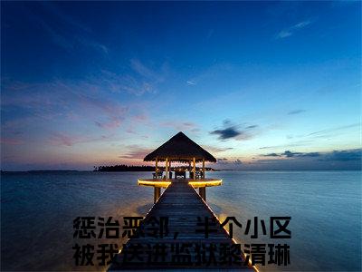 惩治恶邻，半个小区被我送进监狱黎清琳全本资源免费阅读结局无删节主角：惩治恶邻，半个小区被我送进监狱黎清琳小说全文阅读无弹窗