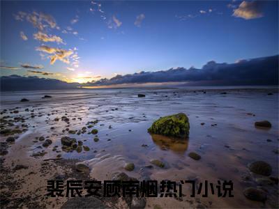 裴辰安顾南烟（裴辰安顾南烟）全文免费阅读无弹窗_裴辰安顾南烟全文免费阅读最新章节大结局_