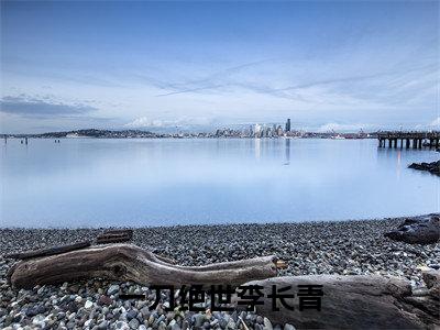 近期热门小说（一刀绝世李长青）在线阅读-一刀绝世李长青精彩小说全文赏析