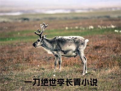 一刀绝世李长青(一刀绝世李长青)小说免费阅读-一刀绝世李长青全文阅读-笔趣阁（一刀绝世李长青）