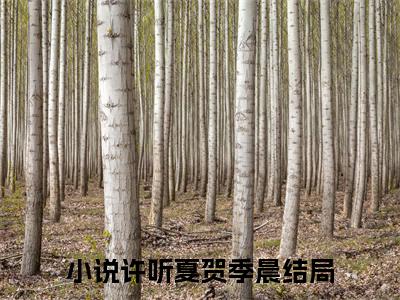 许听夏贺季晨（许听夏贺季晨）全文免费阅读_许听夏贺季晨最新章节列表_笔趣阁