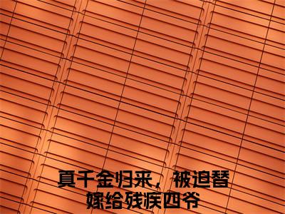 小说陆霁渊盛晚棠（真千金归来，被迫替嫁给残疾四爷）免费阅读-小说陆霁渊盛晚棠全文在线赏析