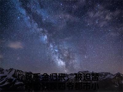 真千金归来，被迫替嫁给残疾四爷小说最新章节阅读-陆霁渊盛晚棠全文免费试读