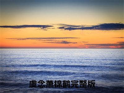 虞念萧锦鹤全文免费完整版，虞念萧锦鹤最新章节完整版阅读