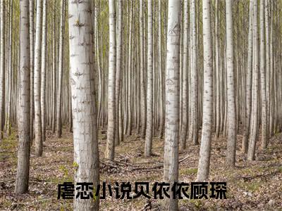 小说贝依依顾琛免费阅读-（贝依依顾琛）全文无弹窗阅读