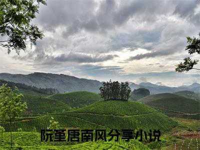 阮堇唐南风全文（渣男靠边走，我要撩反派）全文免费阅读无弹窗大结局_渣男靠边走，我要撩反派全文最新章节列表