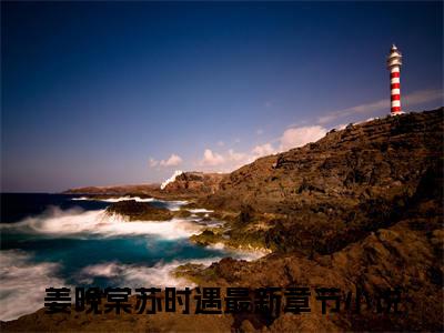 姜晚棠苏时遇小说免费阅读（姜晚棠苏时遇）全文免费阅读大结局-（姜晚棠苏时遇小说免费阅读）好书推荐