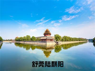 舒莞陆麒阳是哪部小说的主角，舒莞陆麒阳免费阅读全文大结局