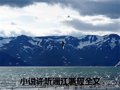主角是许听澜江寒砚的小说-许听澜江寒砚全文无弹窗免费阅读