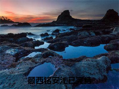 顾西铭安沁小说大结局免费阅读-完结版顾西铭安沁小说免费阅读