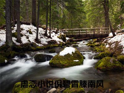 倪碧霄滕南风全文免费阅读无弹窗大结局_ （倪碧霄滕南风完结）倪碧霄滕南风小说最新章节列表