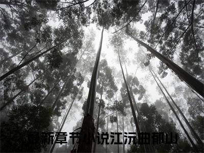 江沅曲郁山完整版 江沅曲郁山小说全文在线阅读