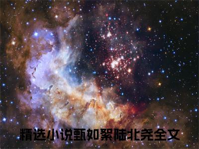 甄如絮陆北尧（甄如絮陆北尧）完整全文在线阅读_甄如絮陆北尧小说全章节目录阅读（甄如絮陆北尧）