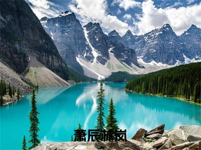 萧辰林岚小说（萧辰林岚）全文免费阅读无弹窗大结局_萧辰林岚全文免费完结版阅读（萧辰林岚）