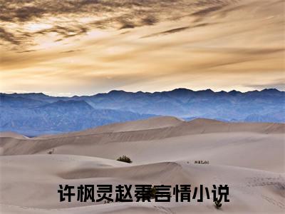 许枫灵赵秦甜宠小说哪里能看许枫灵赵秦-许枫灵赵秦小说阅读全集