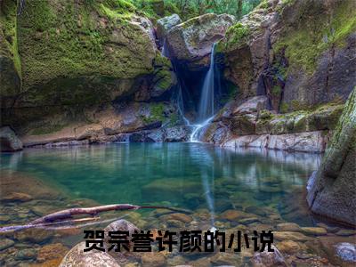贺宗誉许颜（贺宗誉许颜）小说全文免费阅读无弹窗_（贺宗誉许颜）小说全文免费阅读_最新章节列表_笔趣阁