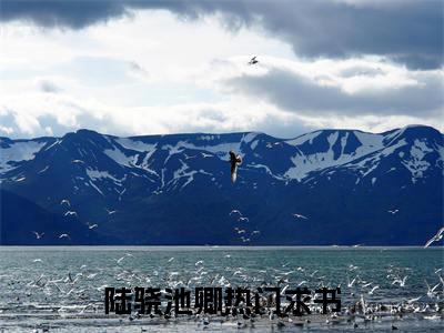 陆骁池卿精彩小说赏析全文 陆骁池卿热门小说免费阅读