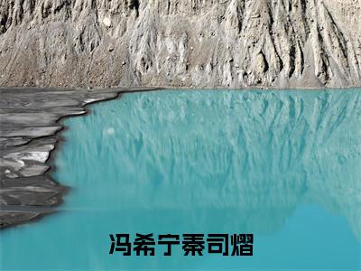 冯希宁秦司熠（冯希宁秦司熠）全文免费阅读大结局_ (冯希宁秦司熠)冯希宁秦司熠最新章节列表_笔趣阁（冯希宁秦司熠）
