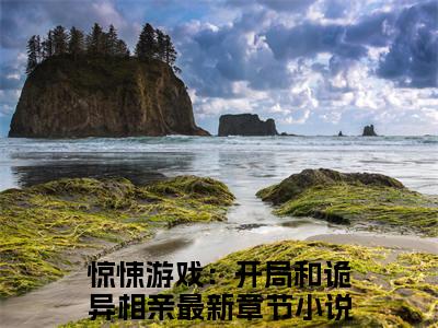 惊悚游戏：开局和诡异相亲（锦玉三角头）完整版小说阅读_锦玉三角头全文免费阅读笔趣阁（惊悚游戏：开局和诡异相亲）