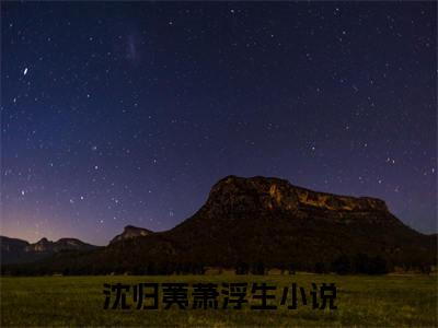 沈归荑萧浮生抖音完结版阅读《沈归荑萧浮生》最新章节目录好书推荐_(沈归荑萧浮生)