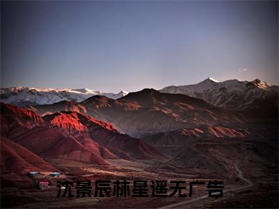 沈景辰林星遥（沈景辰林星遥）全文免费阅读无弹窗大结局_(沈景辰林星遥小说免费阅读)_笔趣阁