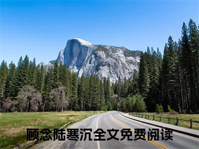 顾念陆寒沉（顾念陆寒沉）全文免费阅读无弹窗大结局_（顾念陆寒沉）免费阅读无弹窗最新章节列表