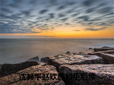 （沈赫宇赵欢颜）小说全文免费阅读-微小说（沈赫宇赵欢颜）完整版阅读