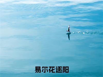 易尔花逐阳（易尔花逐阳）全文免费阅读无弹窗大结局_易尔花逐阳全文免费阅读（易尔花逐阳）最新章节列表_笔趣阁（易尔花逐阳）