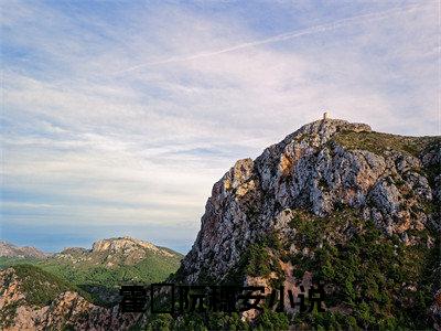 美文霍櫂阮穗安大结局小说-小说（霍櫂阮穗安）免费分享