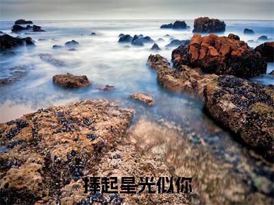 捧起星光似你小说全文无删减-姜舒段以辰捧起星光似你小说大结局免费阅读