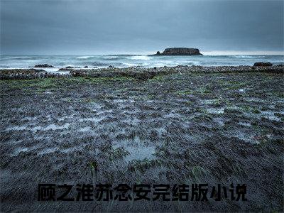 小说《顾之淮苏念安》全文免费阅读无弹窗-顾之淮苏念安小说全文在线赏析_笔趣阁