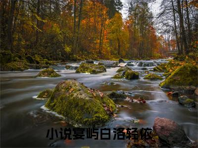 宴屿白洛轻依（宴屿白洛轻依）全文免费阅读无弹窗大结局_宴屿白洛轻依最新章节列表_笔趣阁无删减