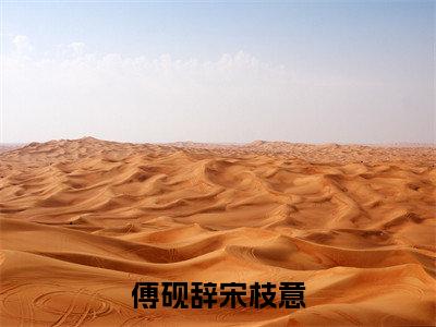 傅砚辞宋枝意小说全文-（傅砚辞宋枝意）精选小说傅砚辞宋枝意大结局阅读
