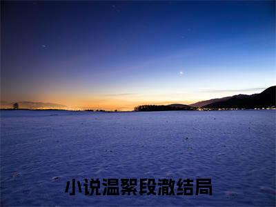 雪染山河梅花开（温絮段澈）全文免费完结版阅读_（温絮段澈）雪染山河梅花开最新章节列表笔趣阁