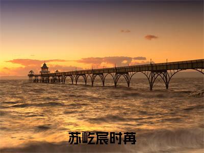 热门小说已完苏屹宸时苒小说无弹窗大结局_苏屹宸时苒全文阅读大结局