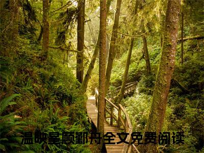 温映星顾鄞舟顾鄞舟，愿我们余生不复相见全文免费完整版，温映星顾鄞舟最新章节完整版阅读