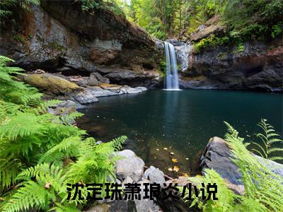 热推新书沈定珠萧琅炎小说全文（沈定珠萧琅炎）全文免费阅读_沈定珠萧琅炎最新章节无弹窗阅读