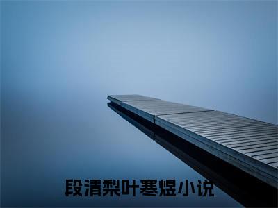 段清梨叶寒煜最新章节在线阅读-全文小说段清梨叶寒煜