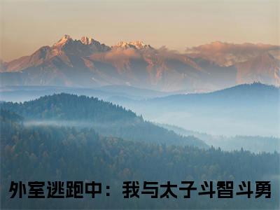 云绾儿萧宴之（外室逃跑中：我与太子斗智斗勇小说）在线阅读全文-外室逃跑中：我与太子斗智斗勇小说免费阅读完结版全文