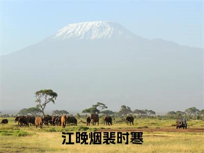 江晚烟裴时寒(江晚烟裴时寒)全文免费阅读无弹窗大结局_(江晚烟裴时寒免费阅读全文大结局)最新章节列表_笔趣阁（江晚烟裴时寒）