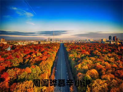 周闻晔慕辛完整版最新小说大结局 周闻晔慕辛最新章节