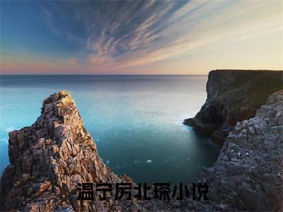 温宁厉北琛免费小说 温宁厉北琛在线小说免费阅读目录