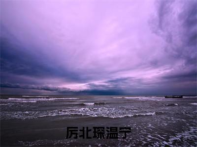 厉北琛温宁（厉北琛温宁）全文免费阅读大结局-厉北琛温宁小说全文免费阅读最新章节列表