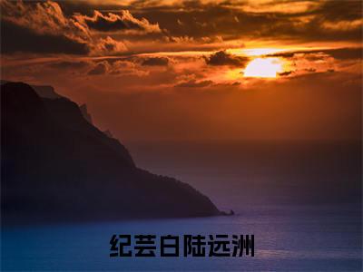 陆总别虐了，夫人登上富豪榜了小说（纪芸白陆远洲）精彩章节-纪芸白陆远洲全文免费在线阅读